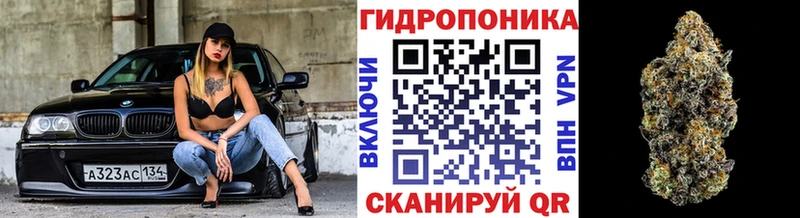 Псилоцибиновые грибы Менделеевск