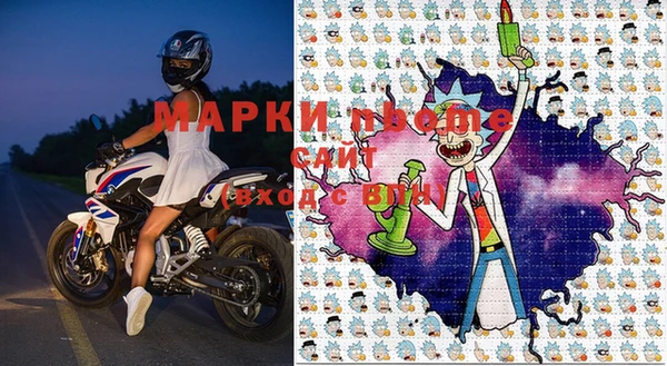 прущие грибы Армянск