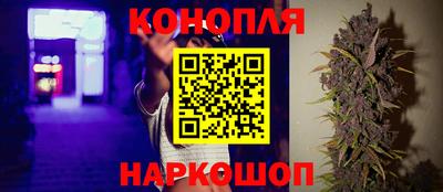 стафф Донской