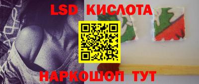 стафф Донской