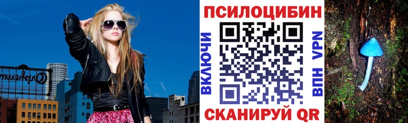 Псилоцибиновые грибы Cubensis  закладки  kraken маркетплейс  Менделеевск 