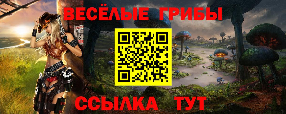 Псилоцибиновые грибы Cubensis Менделеевск