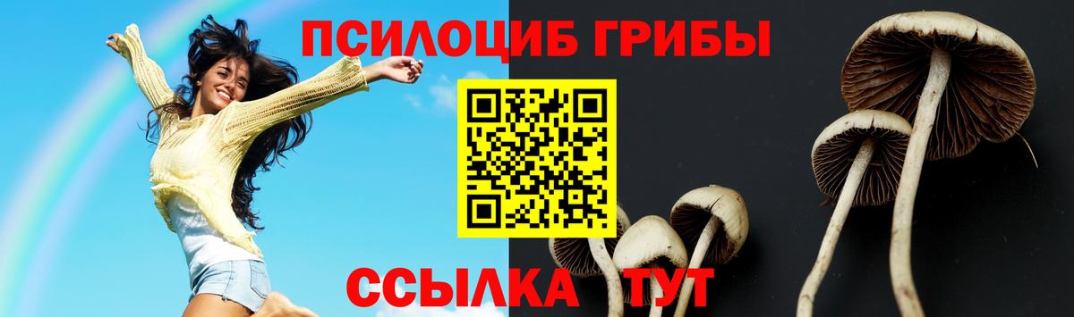 Менделеевск  Псилоцибиновые грибы MAGIC MUSHROOMS  Галлюциногенные грибы мухоморы  Вход с VPN 